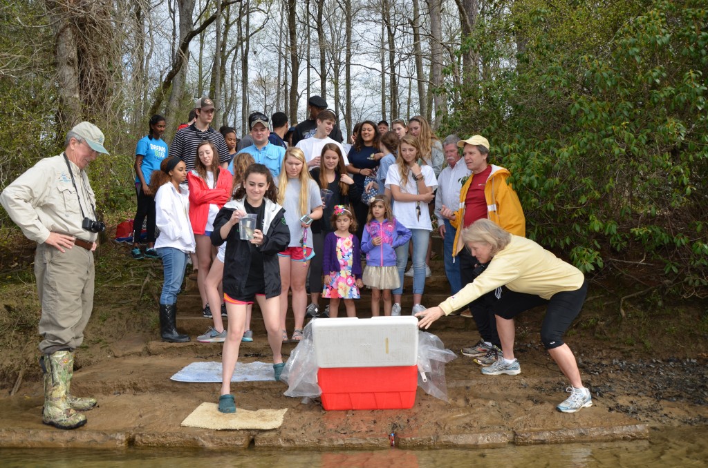 Trout Release