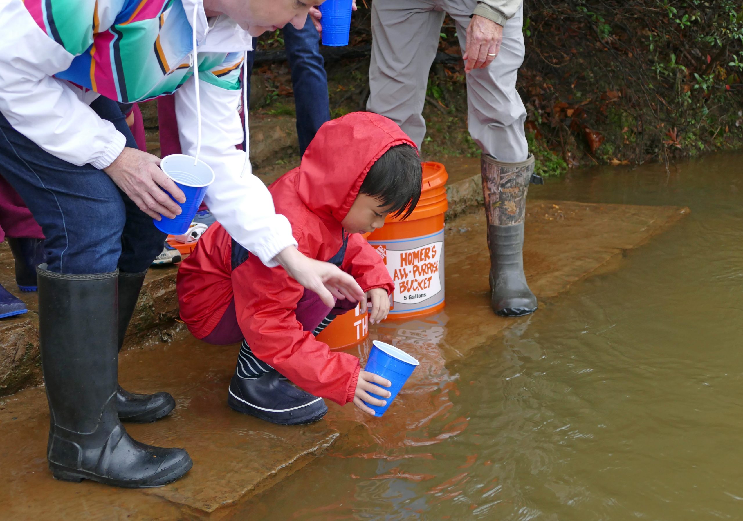 Trout Release
